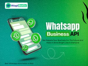 WhatsApp Business API in Rajasthan by WapiBotix